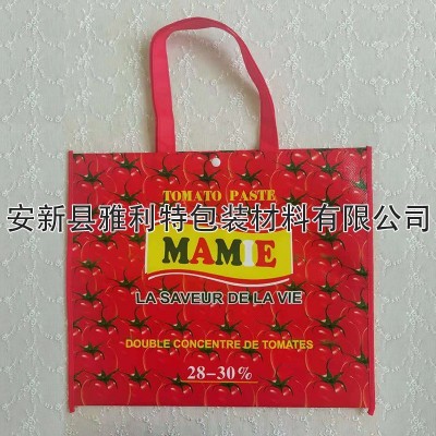 無(wú)紡布購(gòu)物袋